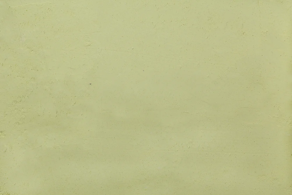 Pulse Flour